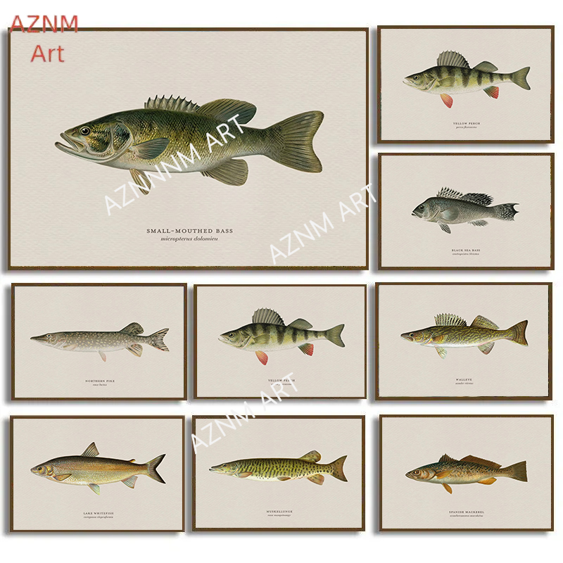 ヴィンテージバスフィッシュトラウトフライフィッシングポスター - Vintage Fashion Wall Art のレビューと価格