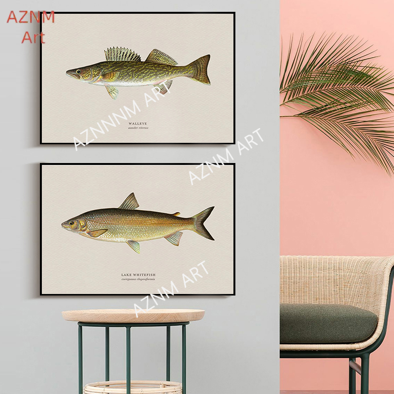 ヴィンテージバスフィッシュトラウトフライフィッシングポスター - Vintage Fashion Wall Art のレビューと価格
