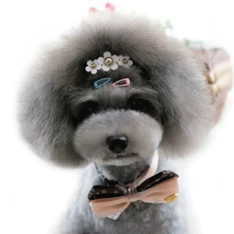 韓国ミニカラフルな子供用ヘアピン、ヘアグリップ、ヘアクリップ - Vintage Fashion Doll のレビューと価格